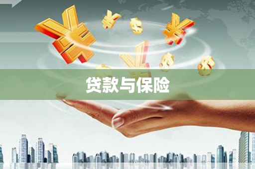 沙坡头贷款与保险
