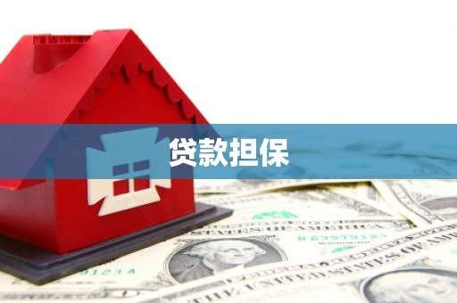 沙坡头贷款担保