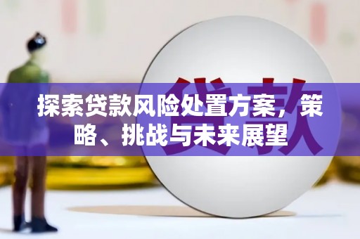 沙坡头探索贷款风险处置方案，策略、挑战与未来展望