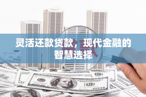 沙坡头灵活还款贷款，现代金融的智慧选择