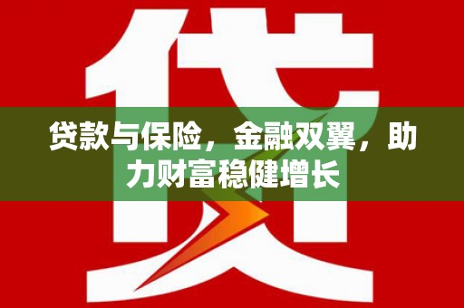 沙坡头贷款与保险，金融双翼，助力财富稳健增长