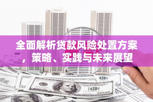 沙坡头全面解析贷款风险处置方案，策略、实践与未来展望