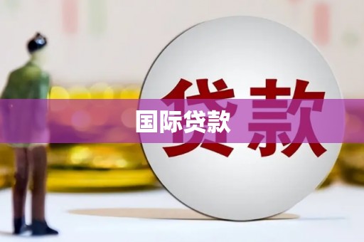沙坡头国际贷款