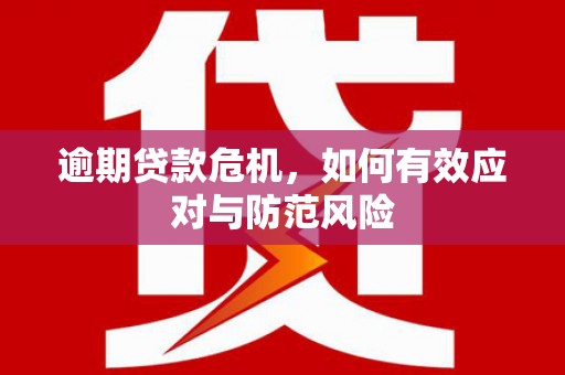 沙坡头逾期贷款危机，如何有效应对与防范风险