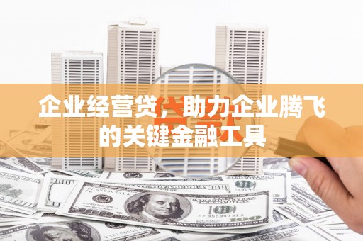 沙坡头企业经营贷，助力企业腾飞的关键金融工具