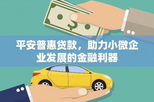 沙坡头平安普惠贷款，助力小微企业发展的金融利器