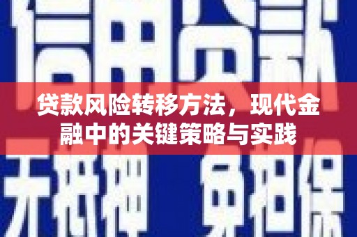 沙坡头贷款风险转移方法，现代金融中的关键策略与实践