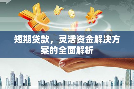 沙坡头短期贷款，灵活资金解决方案的全面解析
