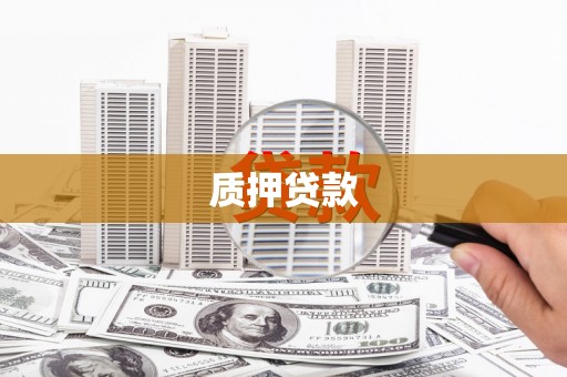 沙坡头质押贷款