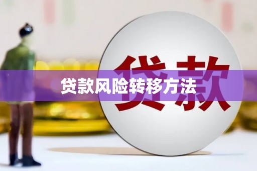沙坡头贷款风险转移方法