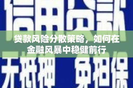 沙坡头贷款风险分散策略，如何在金融风暴中稳健前行