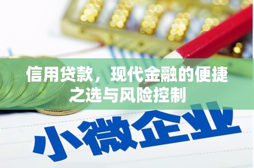 沙坡头信用贷款，现代金融的便捷之选与风险控制