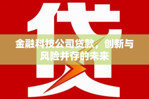 沙坡头金融科技公司贷款，创新与风险并存的未来