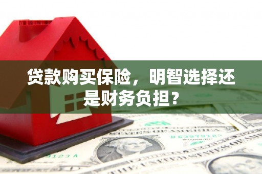 沙坡头贷款购买保险，明智选择还是财务负担？