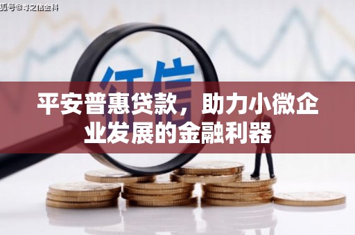 沙坡头平安普惠贷款，助力小微企业发展的金融利器