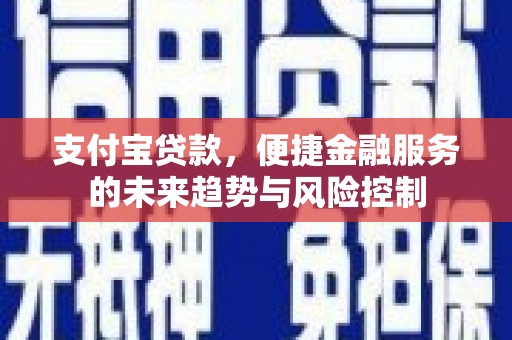 沙坡头支付宝贷款，便捷金融服务的未来趋势与风险控制