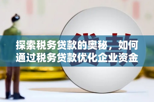 沙坡头探索税务贷款的奥秘，如何通过税务贷款优化企业资金流
