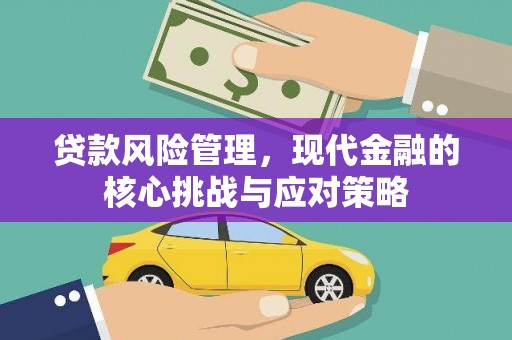 沙坡头贷款风险管理，现代金融的核心挑战与应对策略