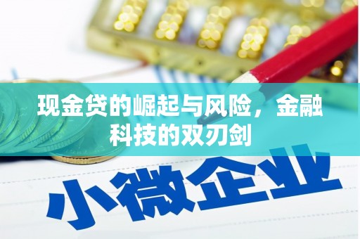 沙坡头现金贷的崛起与风险，金融科技的双刃剑