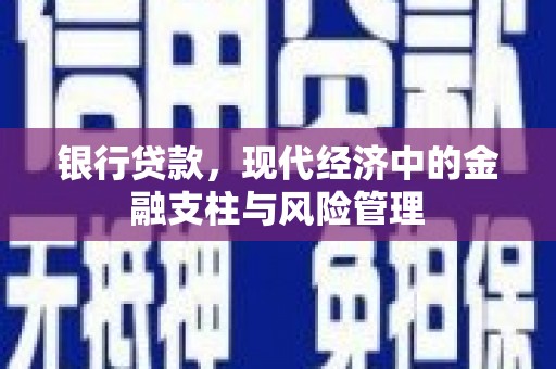 沙坡头银行贷款，现代经济中的金融支柱与风险管理