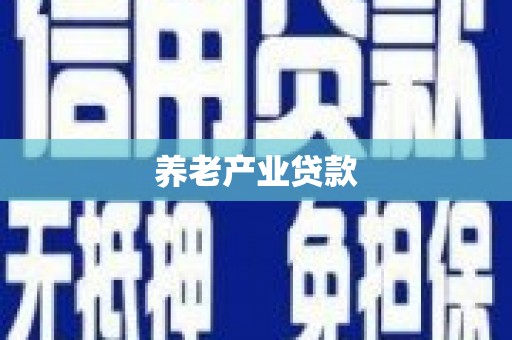 沙坡头养老产业贷款