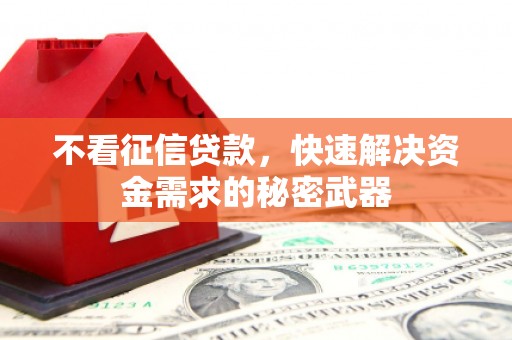 沙坡头不看征信贷款，快速解决资金需求的秘密武器