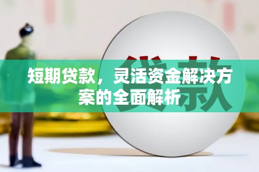 沙坡头短期贷款，灵活资金解决方案的全面解析