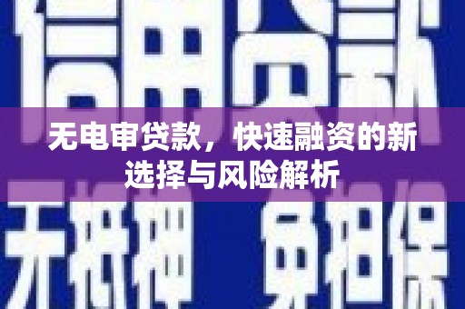 沙坡头无电审贷款，快速融资的新选择与风险解析