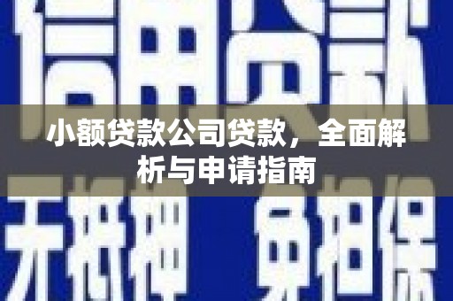 沙坡头小额贷款公司贷款，全面解析与申请指南