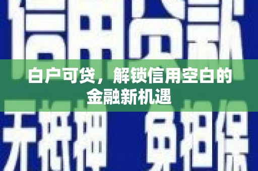 沙坡头白户可贷，解锁信用空白的金融新机遇