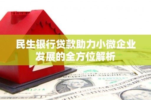 沙坡头民生银行贷款助力小微企业发展的全方位解析
