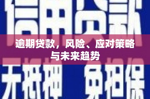 沙坡头逾期贷款，风险、应对策略与未来趋势