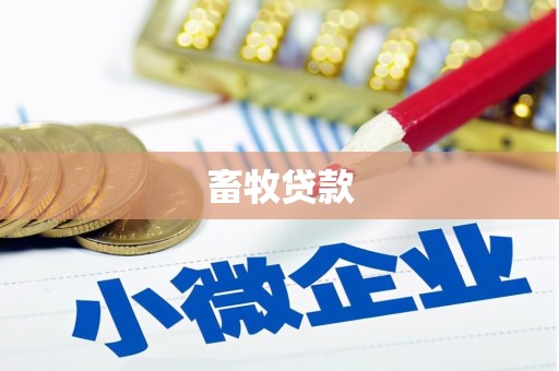 沙坡头畜牧贷款