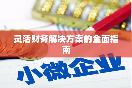 沙坡头灵活财务解决方案的全面指南