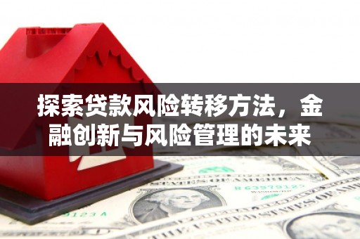 沙坡头探索贷款风险转移方法，金融创新与风险管理的未来