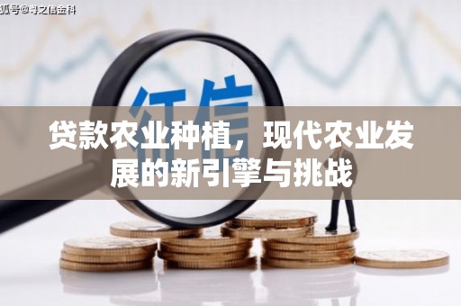 沙坡头贷款农业种植，现代农业发展的新引擎与挑战