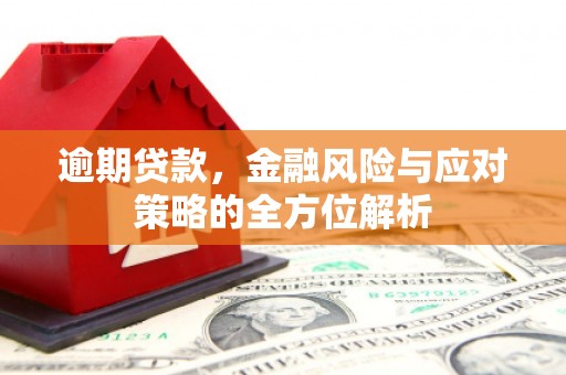 沙坡头逾期贷款，金融风险与应对策略的全方位解析