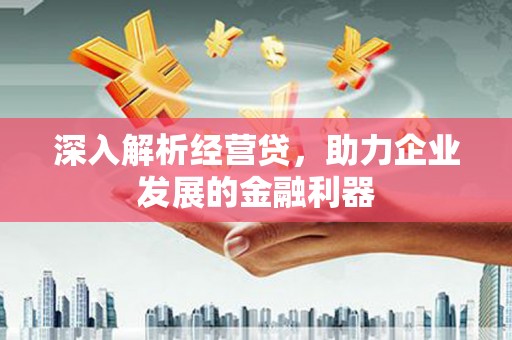 沙坡头深入解析经营贷，助力企业发展的金融利器