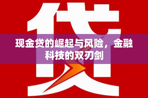 沙坡头现金贷的崛起与风险，金融科技的双刃剑