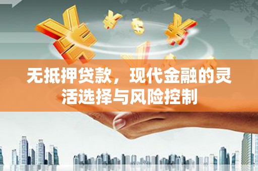 沙坡头无抵押贷款，现代金融的灵活选择与风险控制