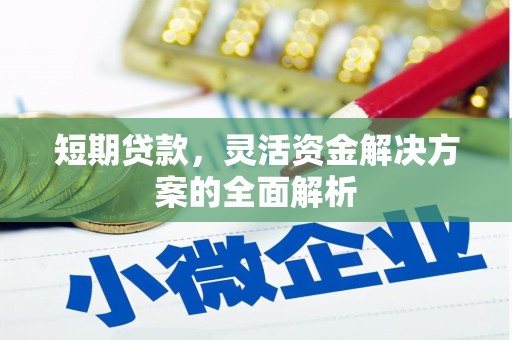 沙坡头短期贷款，灵活资金解决方案的全面解析
