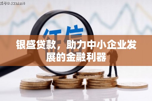 沙坡头银盛贷款，助力中小企业发展的金融利器