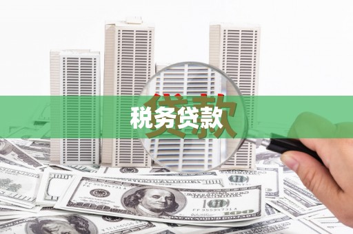 沙坡头税务贷款