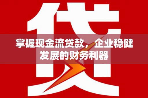 沙坡头掌握现金流贷款，企业稳健发展的财务利器