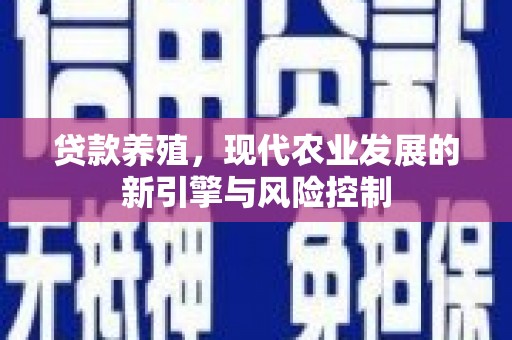 沙坡头贷款养殖，现代农业发展的新引擎与风险控制