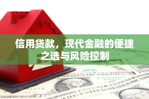 沙坡头信用贷款，现代金融的便捷之选与风险控制