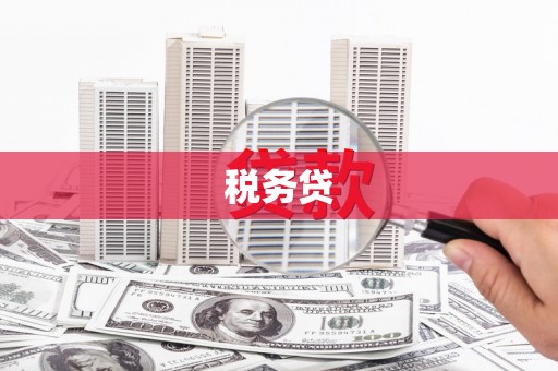 沙坡头税务贷