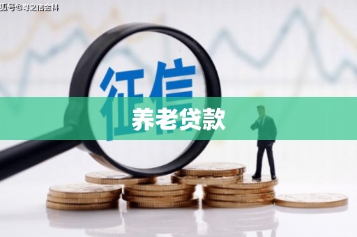 沙坡头养老贷款