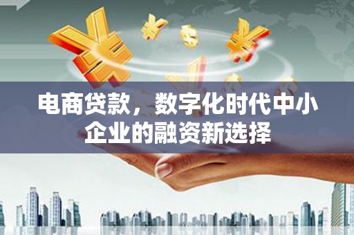 沙坡头电商贷款，数字化时代中小企业的融资新选择