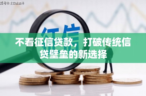沙坡头不看征信贷款，打破传统信贷壁垒的新选择
